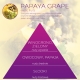 <B>PAPAYA GRAPE</B> SPRAY 250 ml odświeżacz powietrza PREMIUM